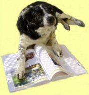 Unser G�stebuch